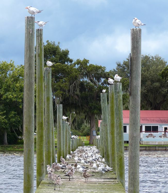 Click to See Next Image